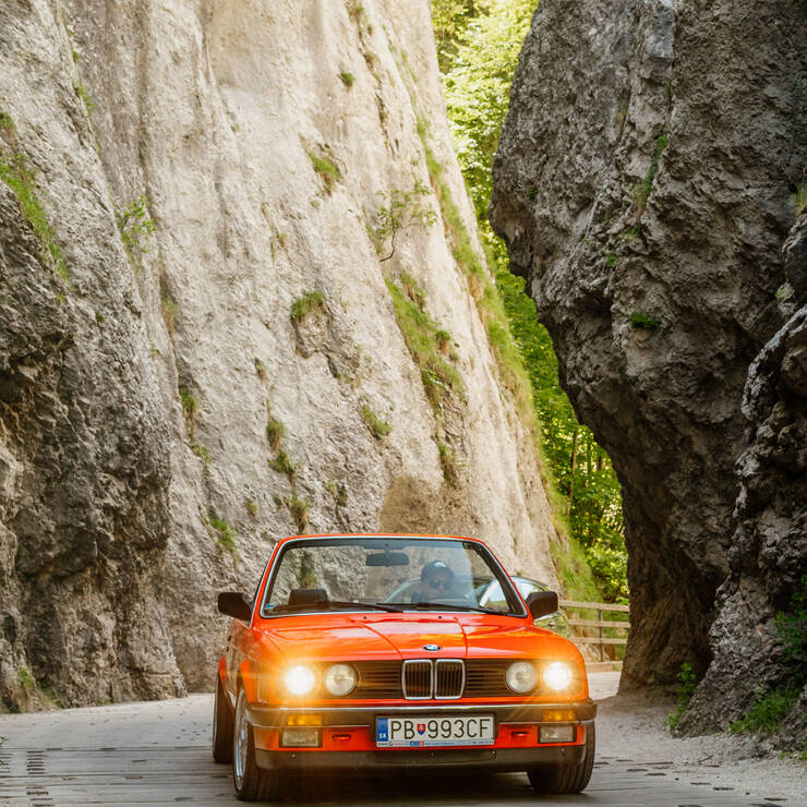 VTM 2024